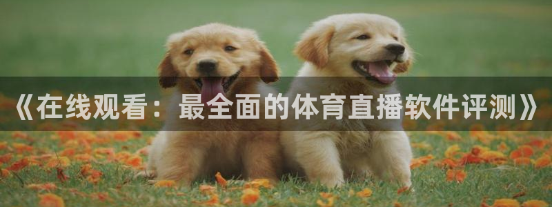 乐球直播nba无插件高清看球：《在线观看：最全面的体育直播软件评测》
