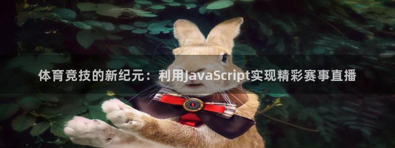 乐球体育直播在线观看免费：体育竞技的新纪元：利用JavaScript实现精彩赛事直播