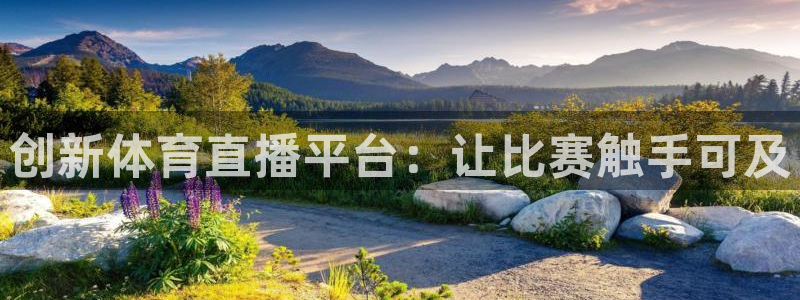乐球app直播：创新体育直播平台：让比赛触手可及
