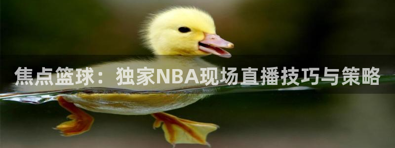 乐球直播免费体育直播回放视频：焦点篮球：独家NBA现场直播技巧与策略
