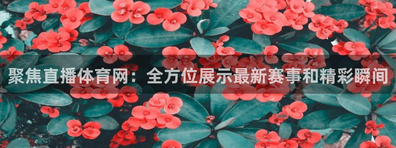 乐球直播网页版入口：聚焦直播体育网：全方位展示最新赛事和精彩瞬间