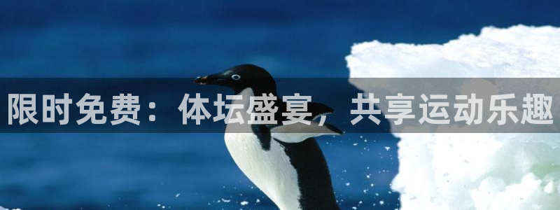 乐球直播免费版：限时免费：体坛盛宴，共享运动乐趣