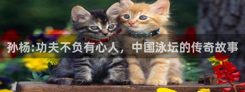 乐球直播官网在线观看：孙杨:功夫不负有心人，中国泳坛的传奇故事