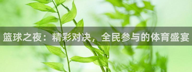 乐球直播tv乐球.comapp：篮球之夜：精彩对决，全民参与的体育盛宴