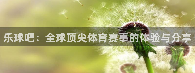 乐球直播免费看球赛：乐球吧：全球顶尖体育赛事的体验与分享