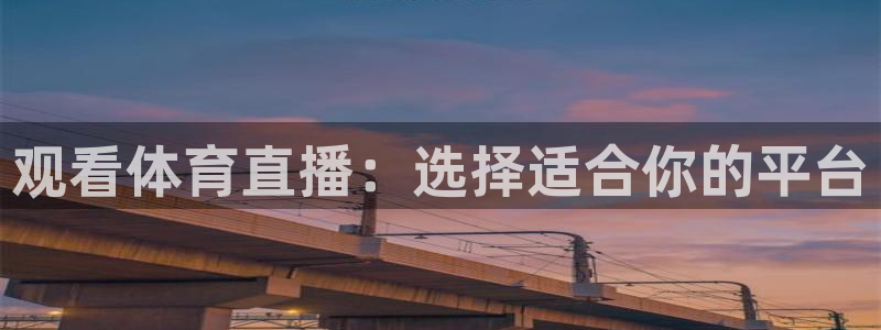 nba在线直播高清乐球：观看体育直播：选择适合你的平台