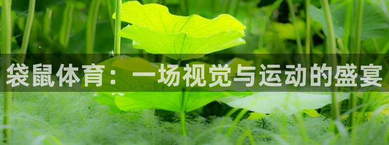 乐球直播足球直播免费观看高清：袋鼠体育：一场视觉与运动的盛宴